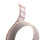 aiino - Koa cinturino per Apple Watch (Serie 1-9) 38-41 mm - Fluffy Rose