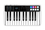 IK Multimedia iRig Keys I/O 25 MIDI Controller and Audio Interface